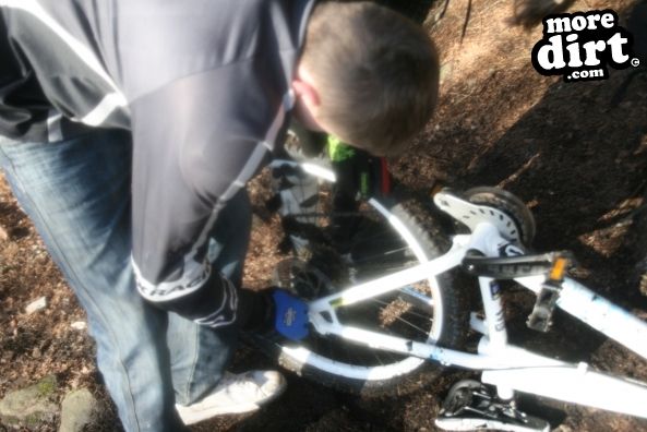 Descent Line Trail - Stainburn Forest