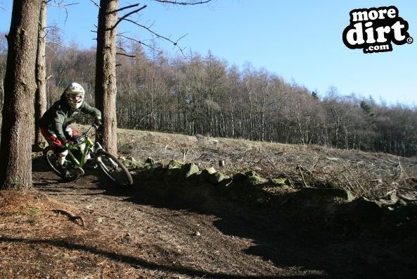 Descent Line Trail - Stainburn Forest