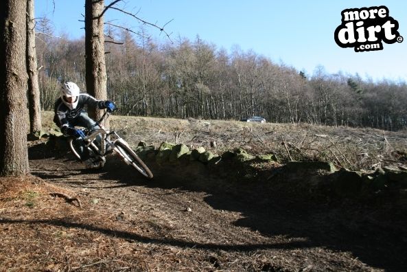 Descent Line Trail - Stainburn Forest