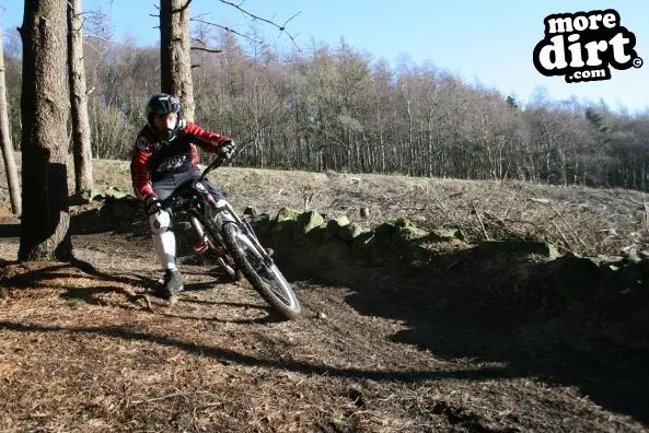 Descent Line Trail - Stainburn Forest