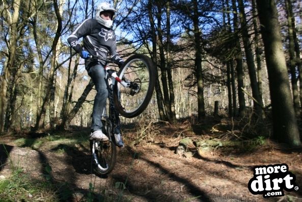 Descent Line Trail - Stainburn Forest