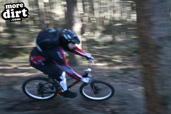 Descent Line Trail - Stainburn Forest