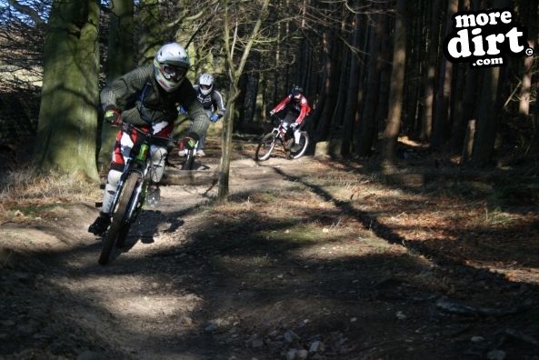 Descent Line Trail - Stainburn Forest