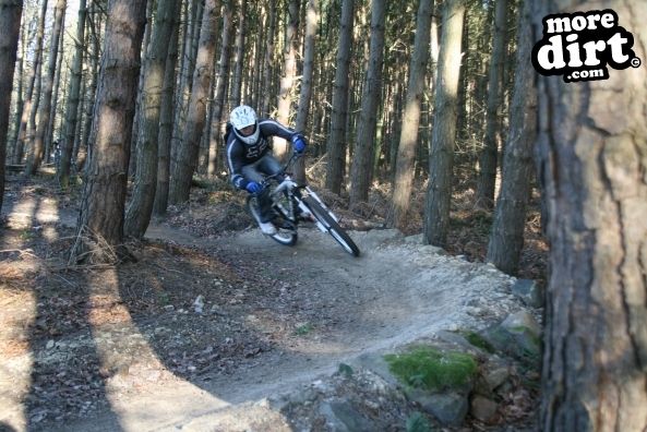 Descent Line Trail - Stainburn Forest