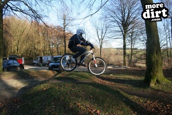 Descent Line Trail - Stainburn Forest