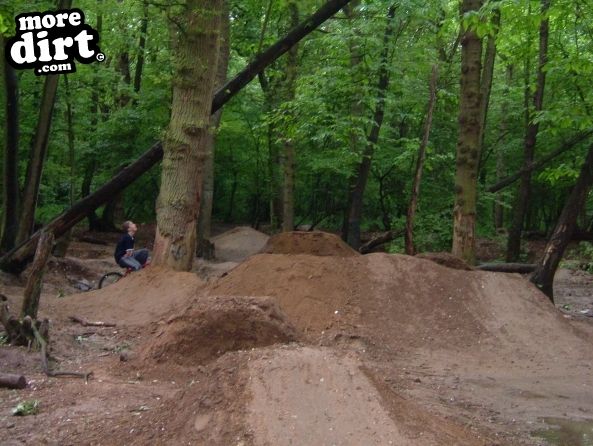 Mountain Bike