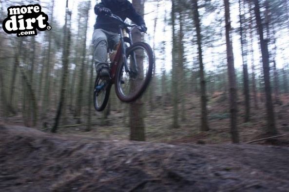 Swinley Forest Mountain Bike Centre