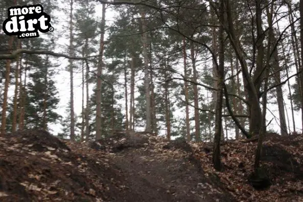 Swinley Forest Mountain Bike Centre