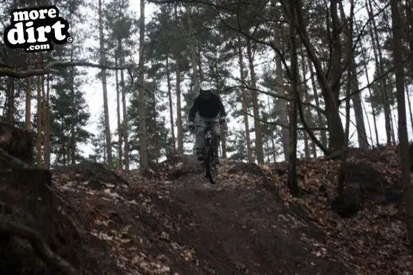 Swinley Forest Mountain Bike Centre