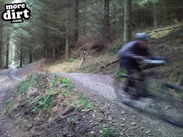 Black Trail - Coed Llandegla Forest