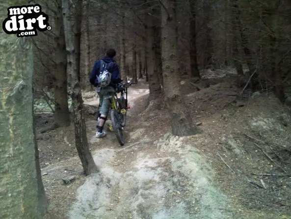 Bringewood DH