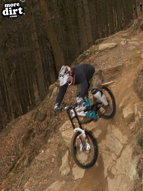 Freeride - Cwmcarn