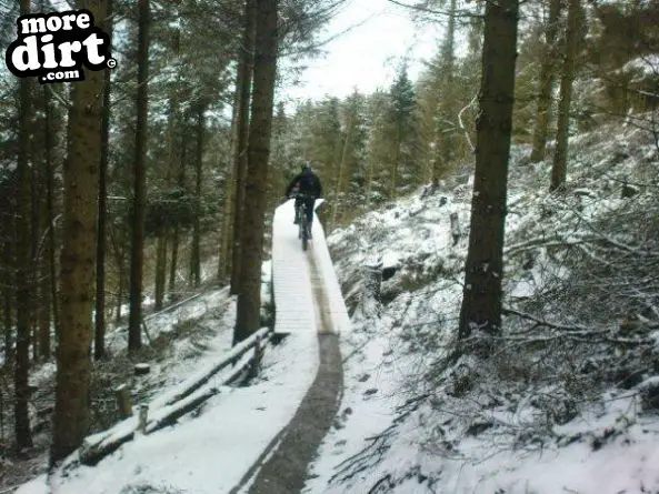 Black Trail - Coed Llandegla Forest