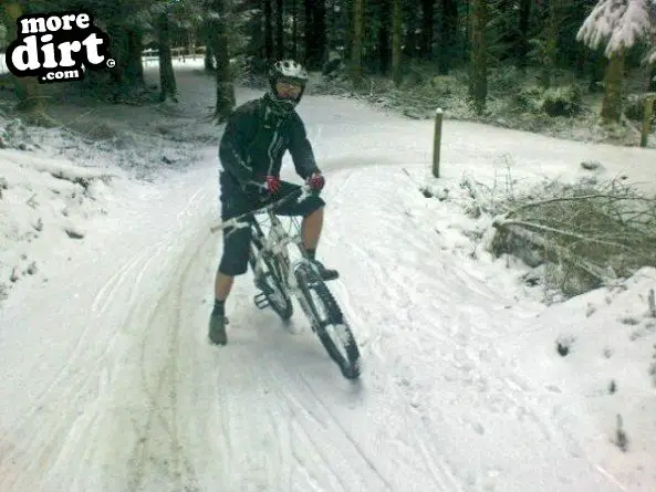 Black Trail - Coed Llandegla Forest