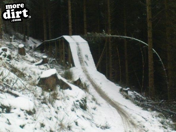 Black Trail - Coed Llandegla Forest