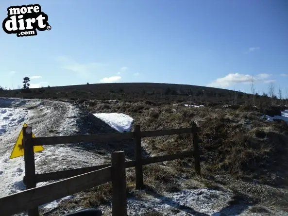 Blue Trail - Coed Llandegla Forest