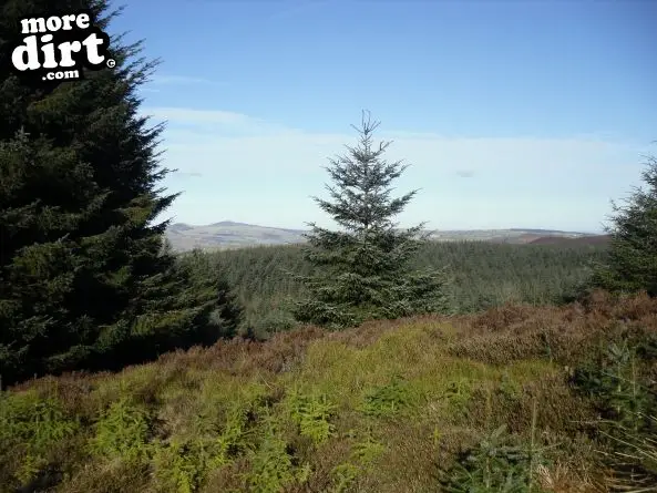 Blue Trail - Coed Llandegla Forest