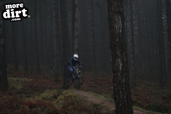 Sherwood Pines Bike Park