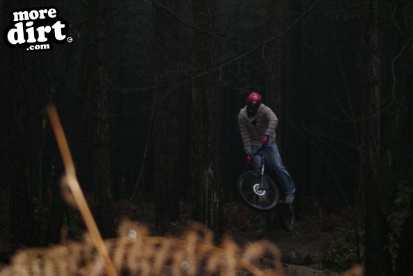 Sherwood Pines Bike Park