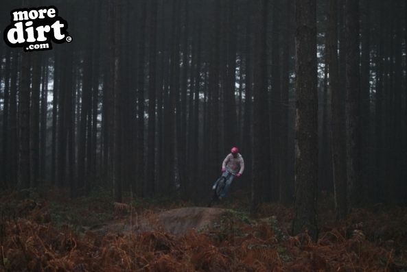 Sherwood Pines Bike Park