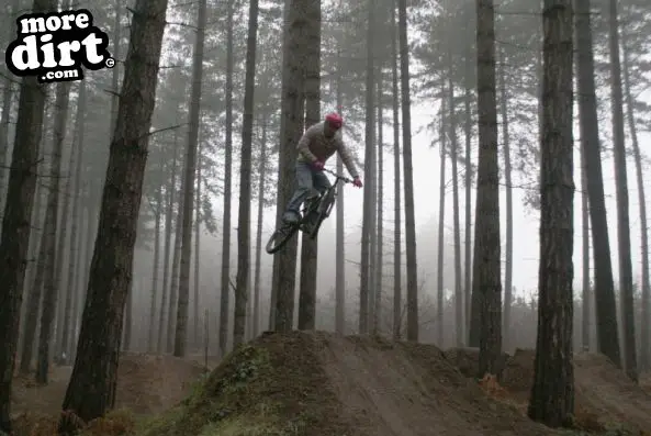 Sherwood Pines Bike Park