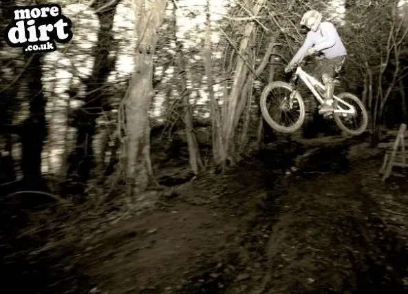 Wentwood Forest Downhill Trail