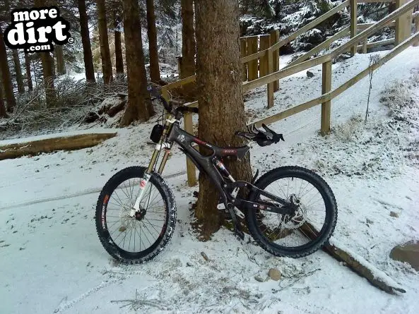 Freeride Park - Glentress