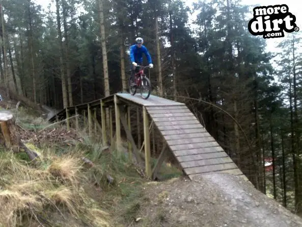 Black Trail - Coed Llandegla Forest