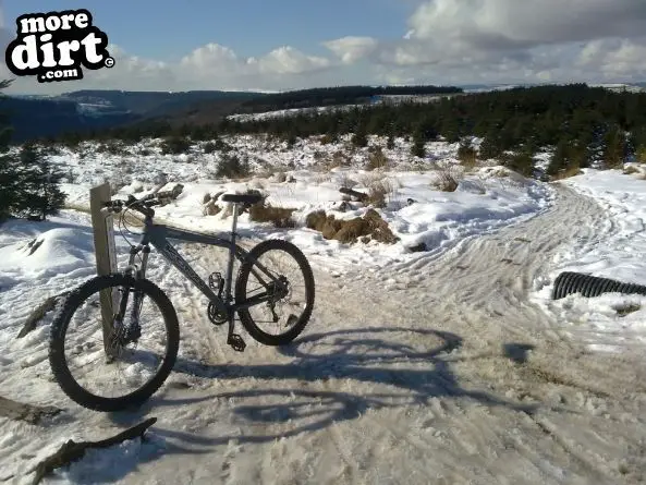 Freeride - Cwmcarn