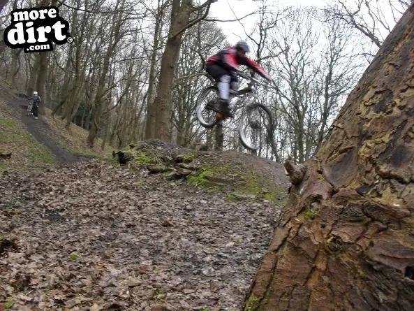 Elland Park Wood Trails