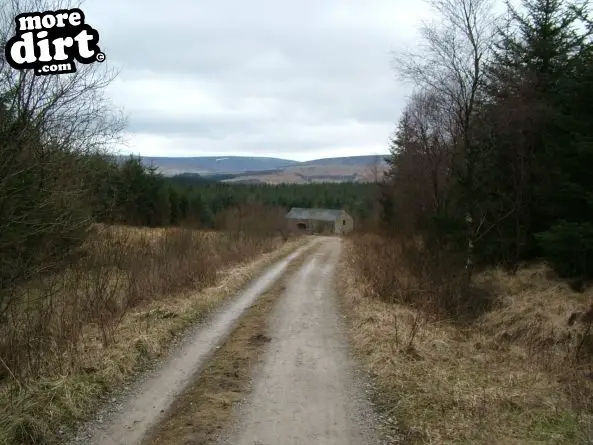 The 8 - Gisburn Forest