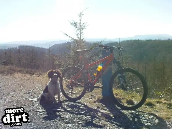 Gwydir Mawr Mountain Bike Trail