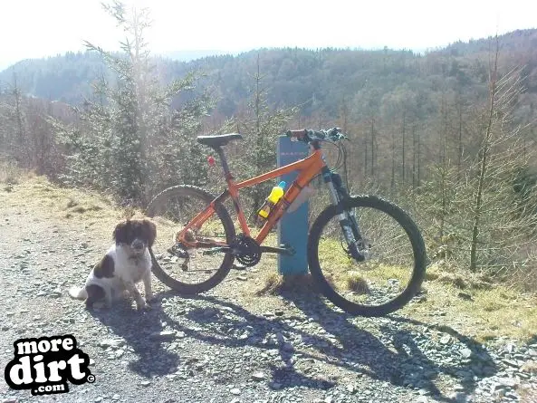 Gwydir Mawr Mountain Bike Trail