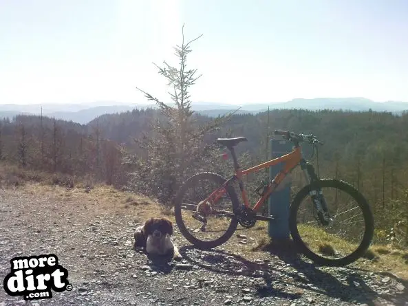 Gwydir Mawr Mountain Bike Trail