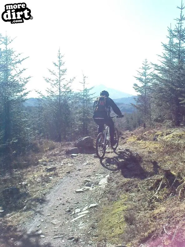 Gwydir Mawr Mountain Bike Trail