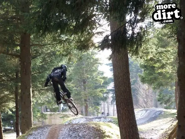 Freeride Park - Glentress