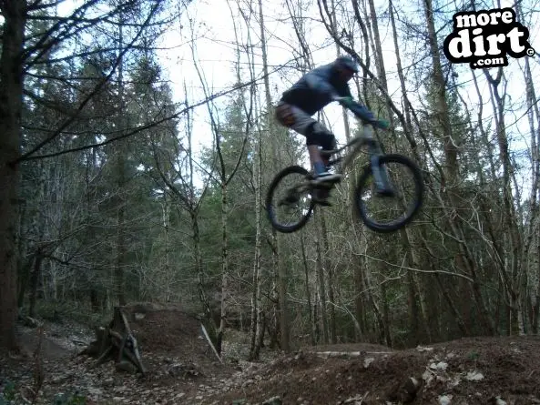 Ribbesford Bike Park