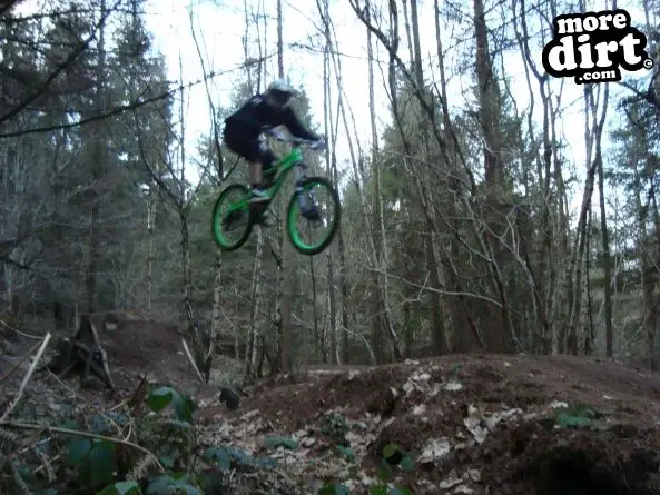 Ribbesford Bike Park