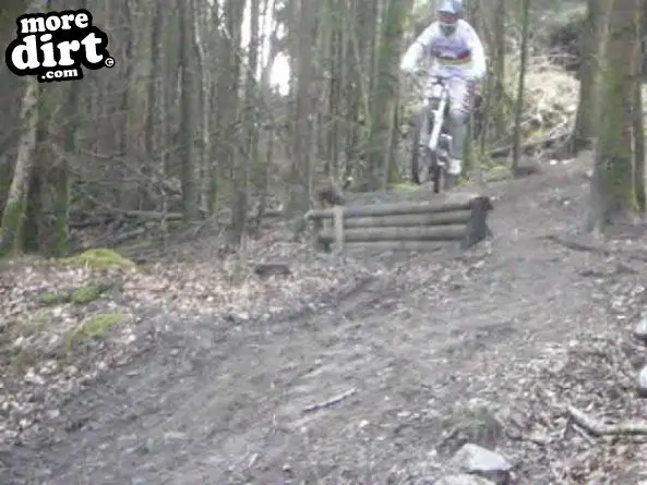 Rheola Downhill Mountain Bike Trail