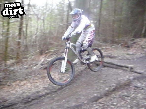 Rheola Downhill Mountain Bike Trail