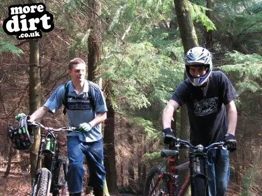 Downhill Trails - Forest of Dean