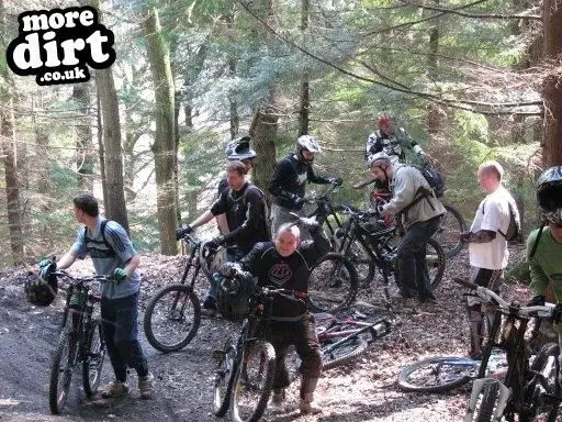 Downhill Trails - Forest of Dean