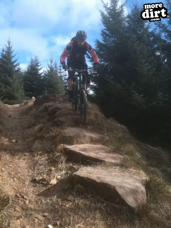 Deadwater Trail - Kielder Forest