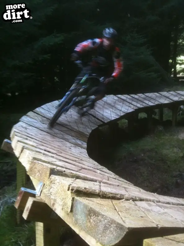 Deadwater Trail - Kielder Forest