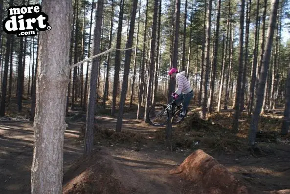 Sherwood Pines Bike Park