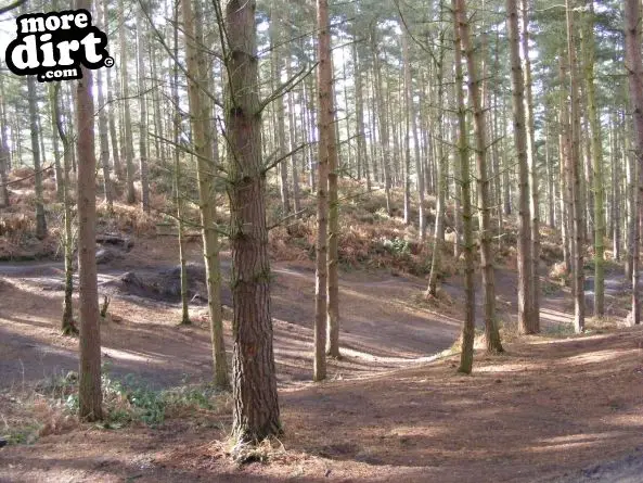 Kinver Freeride Park