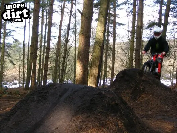 Kinver Freeride Park