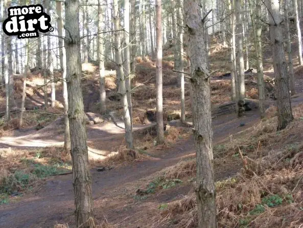 Kinver Freeride Park