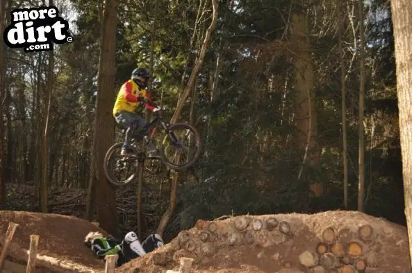 Ribbesford Bike Park