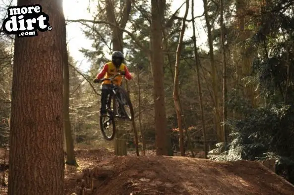 Ribbesford Bike Park